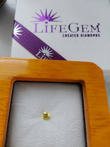 The Ultimate Pet Memorial, Turn your pet's ashes into a Diamond with LifeGem.com