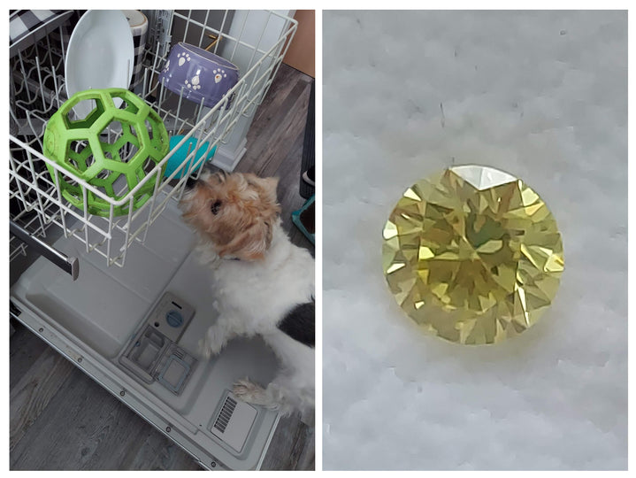 The Ultimate Pet Memorial, Turn your pet's ashes into a Diamond with LifeGem.com