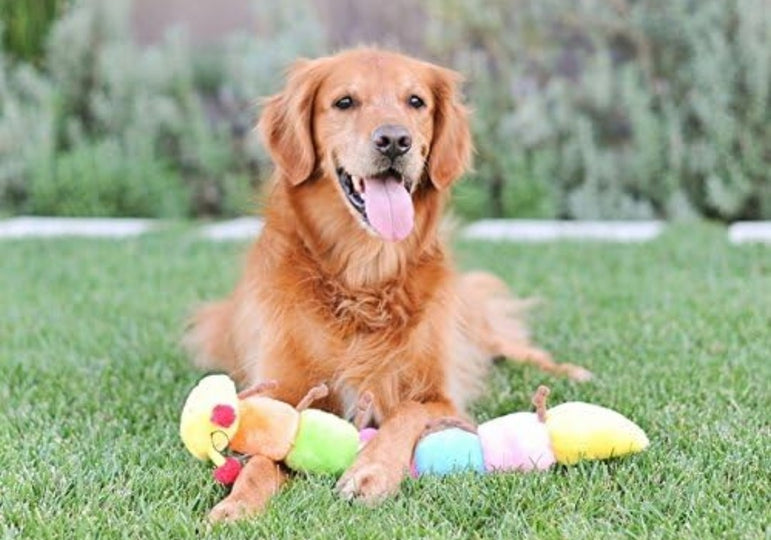 Colorful Caterpillar Dog Toy, Rainbow with Squeakers, Plush Pull Squeaker Toy 20 inches
