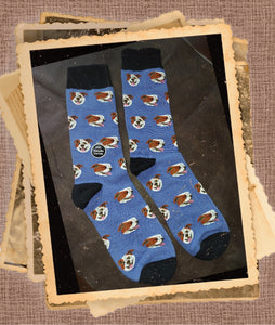 English Bulldog Breed Ladies Novelty Socks