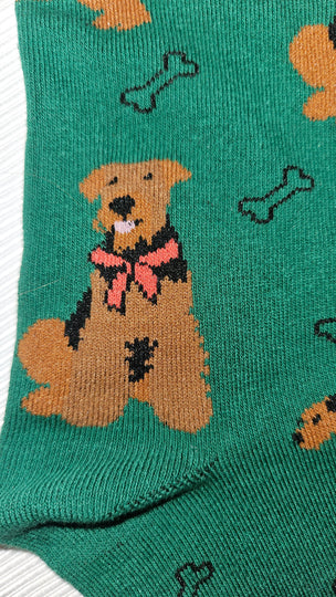 Airedale Lakeland Welsh Terrier Dog Breed Ladies Novelty Socks 2 designs