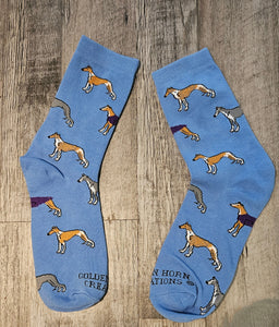 Whippet Greyhound Sighthound Puppy Dog Dog Socks