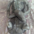 Ragdoll Cat Kitten Kitty Crossbody Purse Clutch Handbag