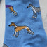 Whippet Greyhound Sighthound Puppy Dog Dog Socks