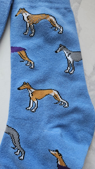 Whippet Greyhound Sighthound Puppy Dog Dog Socks