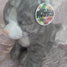 Ragdoll Cat Kitten Kitty Crossbody Purse Clutch Handbag