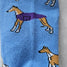 Whippet Greyhound Sighthound Puppy Dog Dog Socks