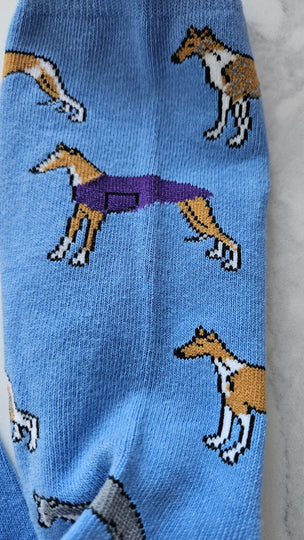 Whippet Greyhound Sighthound Puppy Dog Dog Socks