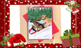Let's Go Tobogganing Dachshund, German Shepherd, Pug, Golden Retriver Dog Christmas Holiday Greeting Cards