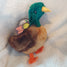 Pheasant, Pig or Chicken Dog Plush Toy with Tennis Ball Inside