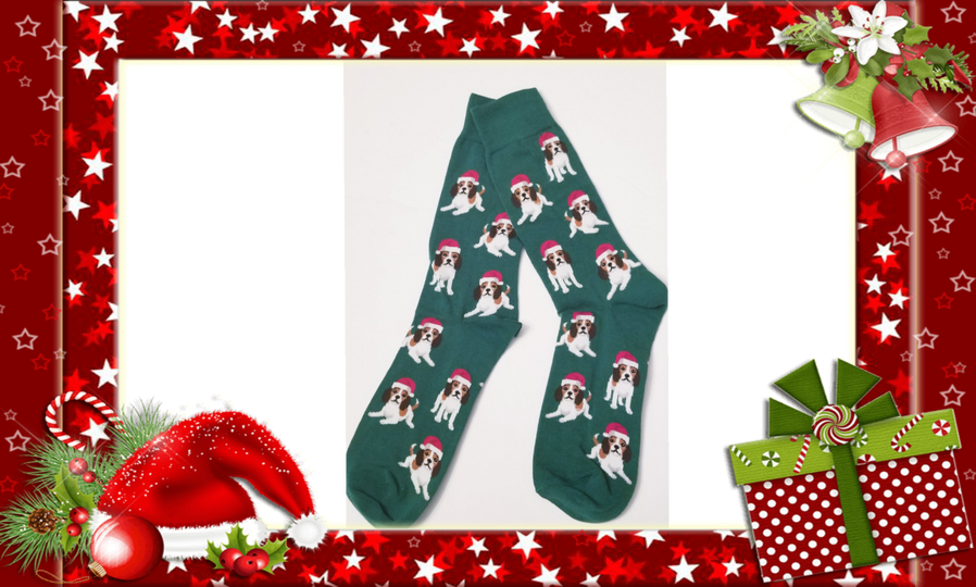 Beagle Foxhound Harrier Christmas Holiday Dog Socks