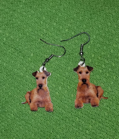 Irish Terrier Dog Design Lightweight Earrings Jewelry