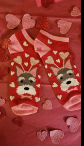 Schnauzer Terrier Dog Ladies Valentine's Day Heart Socks
