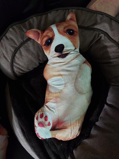 Pembroke Welsh Corgi Dog Body Pillow 4 styles of cuteness