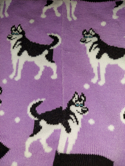 Blue eyed Siberian Husky Dog Socks