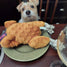 Dinner is Served Plush Stuffed Turkey Dog Toy with Rope Legs and Pumpkin Pie Squeaker.   A Thanksgiving Treat
