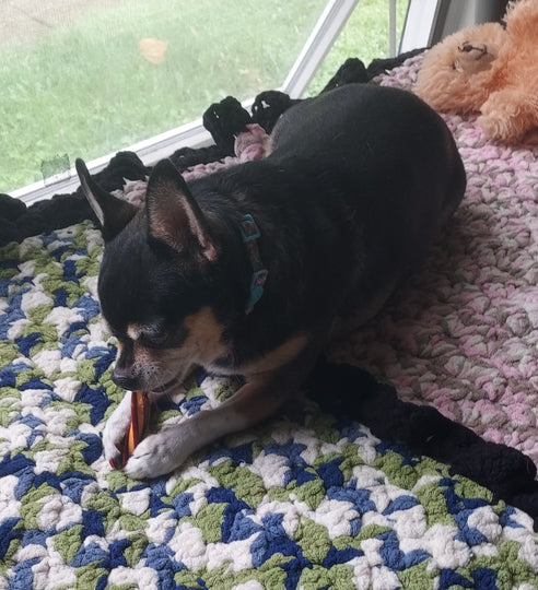 Purina Twist-Ables Beef Cheese Flavors Dog Treats Food 5.5 Oz