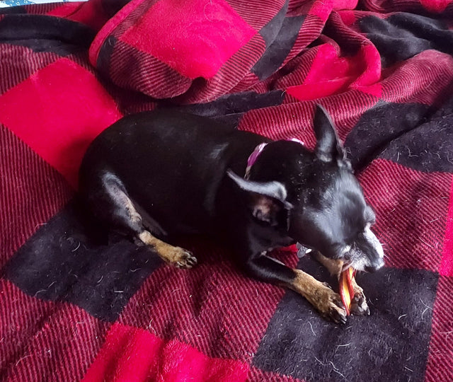 Purina Twist-Ables Beef Cheese Flavors Dog Treats Food 5.5 Oz