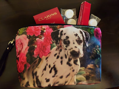 Dalmatian Dog Breed Ladies Makeup Bag, Money Bag, School Supplies