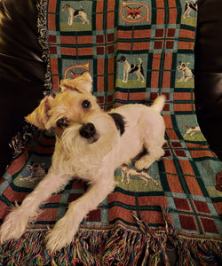 Jack Russell, Parsons, Wire Fox and Smooth Fox Terrier Dog and Fox  Blanket Throw