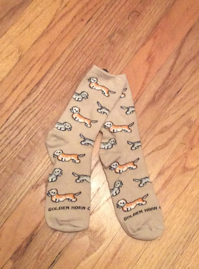 Dandie Dinmont Terrier Dog Ladies Socks