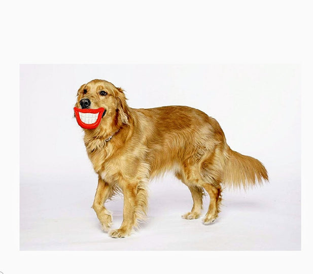 Say Cheese Cheeze Pink Moustache Dog Squeaker Toy