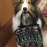 High in Trial Little Tote Obedience bag, so fun